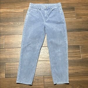 American Eagle Mom Straight Jeans 6 Short Petite Corduroy Gray Blue Stretch